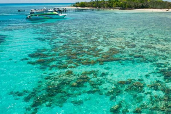 Big Cat Green Island Reef Cruises Green Island Reef Conservation