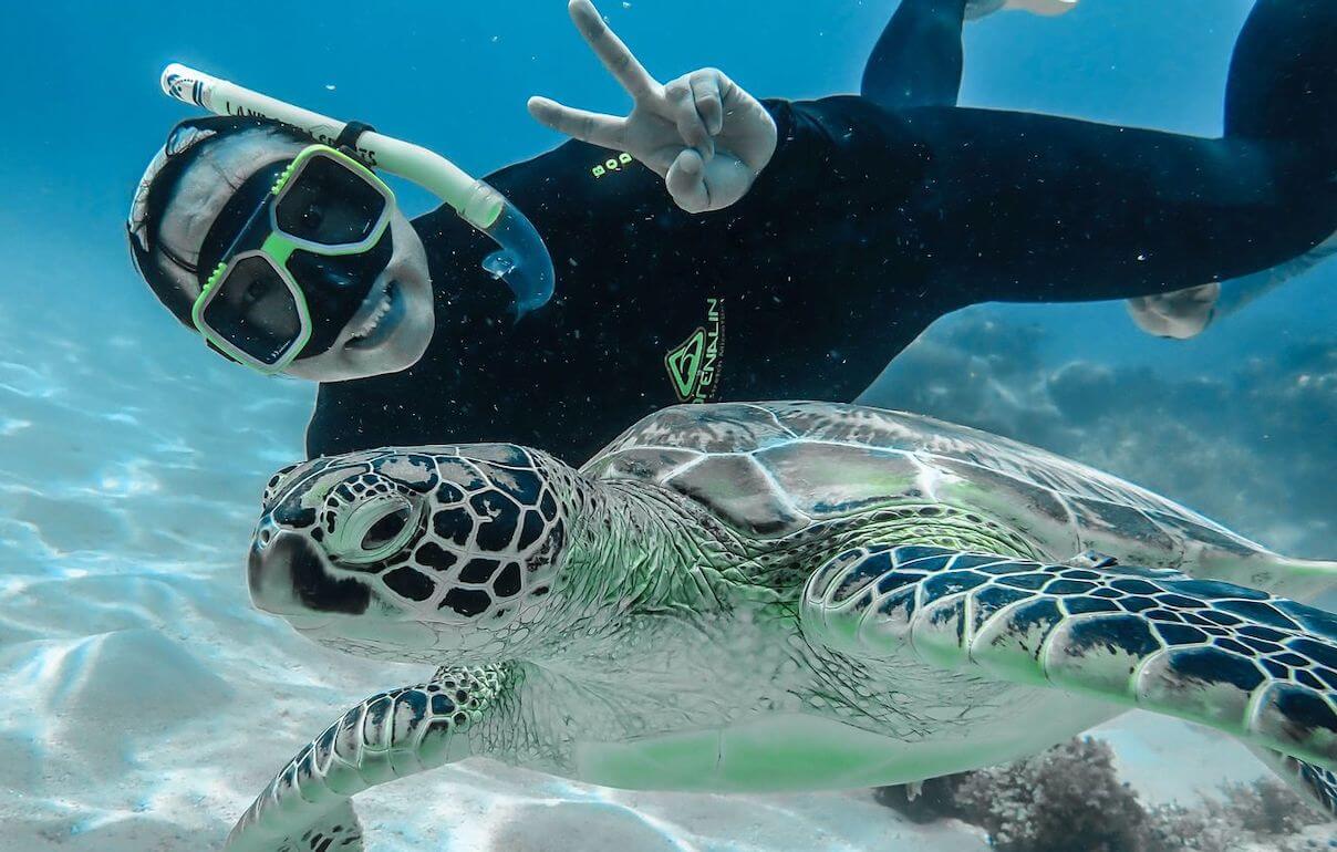 Snorkelling Green Island 1 Thing to do in Cairns Tropical Green Island