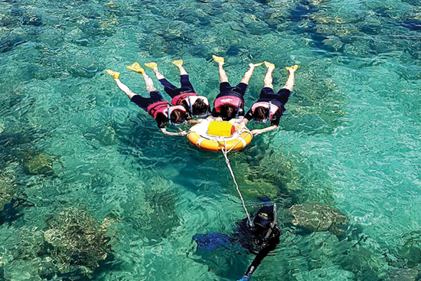Big Cat Green Island_Group Snorkel Experience